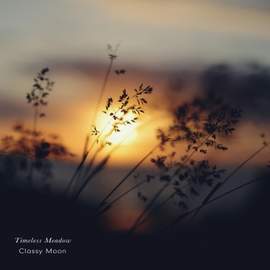 Timeless Meadow