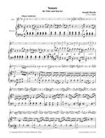 Haydn, J: Sonate G-Dur Product Image