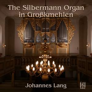 The Silbermann Organ in Großkmehlen