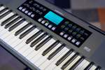 Medeli NEBULA Series Keyboard. 61 Key. Black Product Image