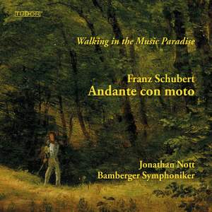 Franz Schubert: Andante con moto