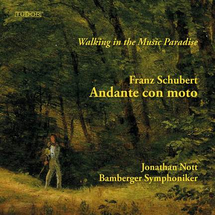 Franz Schubert: Andante con moto