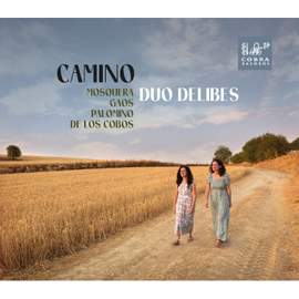 Camino - Mosquera Gaos