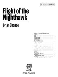 Brian Chance: Flight of the Nighthawk
