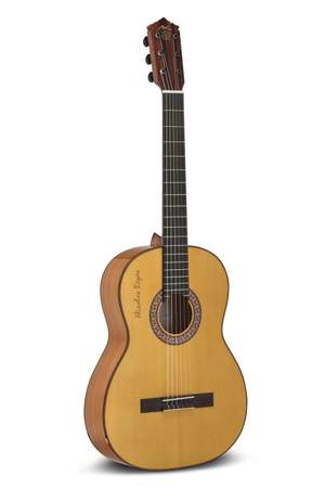 Manuel Rodriguez SUPERIOR Flamenco Gipsy Kings GK-RO-Y