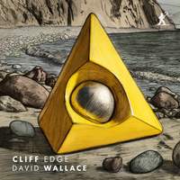 David Wallace: Cliff Edge