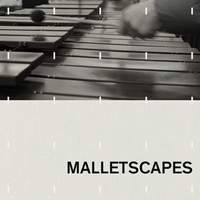 Malletscapes
