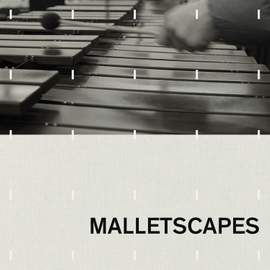 Malletscapes