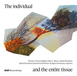 The individual and the entire tissue