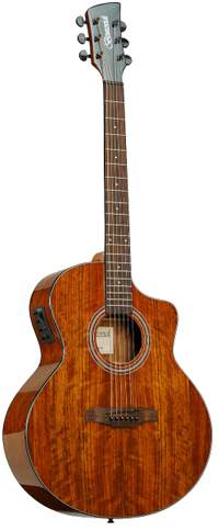 Brunswick BTK60 Grand Auditorium Electro/Cut Walnut