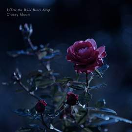 Where the Wild Roses Sleep