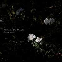 The Garden After Midnight