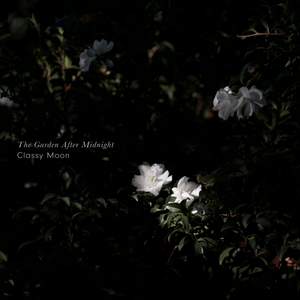 The Garden After Midnight