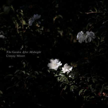 The Garden After Midnight