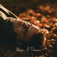 Asleep, A Dream
