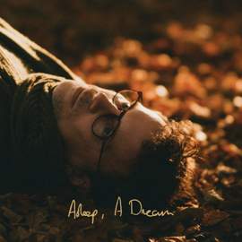 Asleep, A Dream