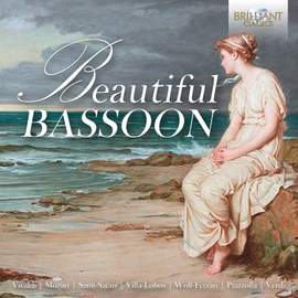 Beautiful Bassoon