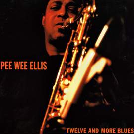 Twelve and More Blues