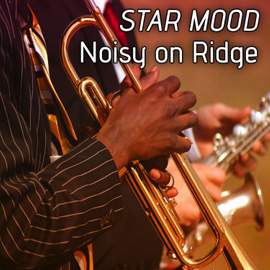 Noisy on Ridge