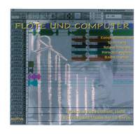 Flute and Computer