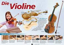 Die Violine