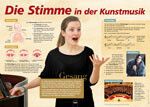 Die Stimme in der Kunstmusik