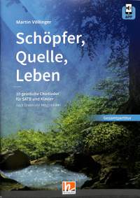 Völlinger, M: Schöpfer Quelle Leben
