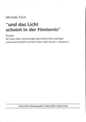 Culo, M: Und das Licht scheint in der Finsternis