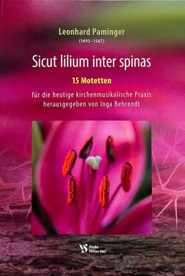 Paminger, L: Sicut lilium inter spinas