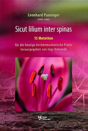 Paminger, L: Sicut lilium inter spinas