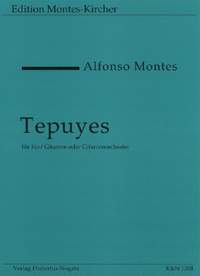 Montes, A: Tepuyes