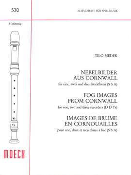 Medek, T: Nebelbilder aus Cornwall
