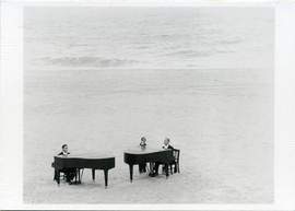 Flügel am Meer