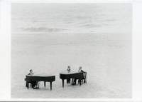 Flügel am Meer