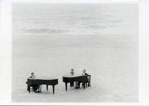 Flügel am Meer