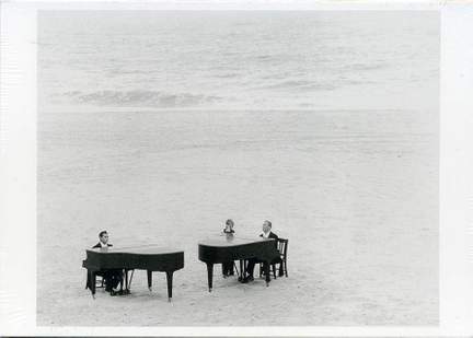 Flügel am Meer