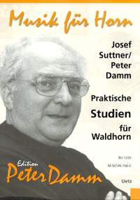 Damm, P: Praktische Studien