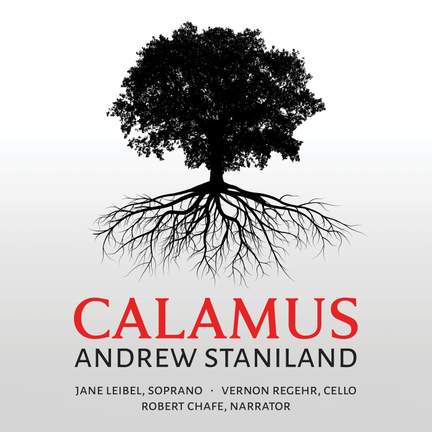Calamus