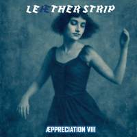 Æppreciation VIII