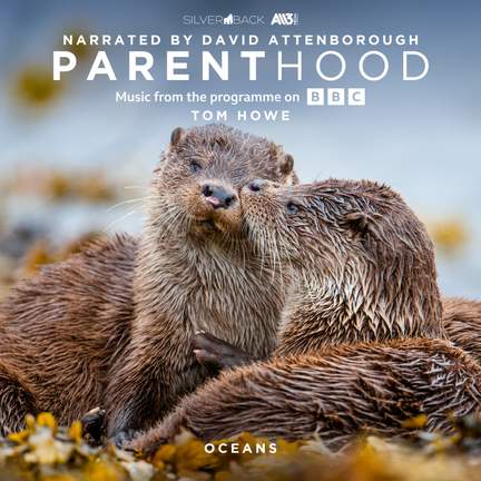Parenthood: Oceans (Music From The Programme On BBC)