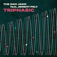 Triphasic