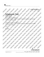 Widmann, Jörg: Sister Death Product Image