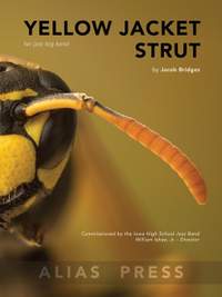 Bridges, J: Yellow Jacket Strut