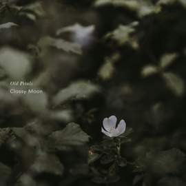 Old Petals