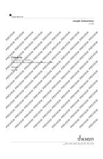 Schwantner, Joseph: Concerto Product Image