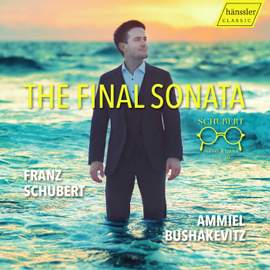 The Final Sonata - Schubert Piano Works Vol. III