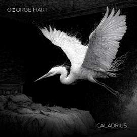 Caladrius
