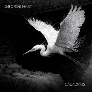Caladrius