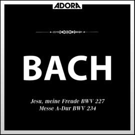 Bach: Motette 'Jesu, meine Freude', BWV 227 - Messe, BWV 234