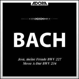 Bach: Motette 'Jesu, meine Freude', BWV 227 - Messe, BWV 234
